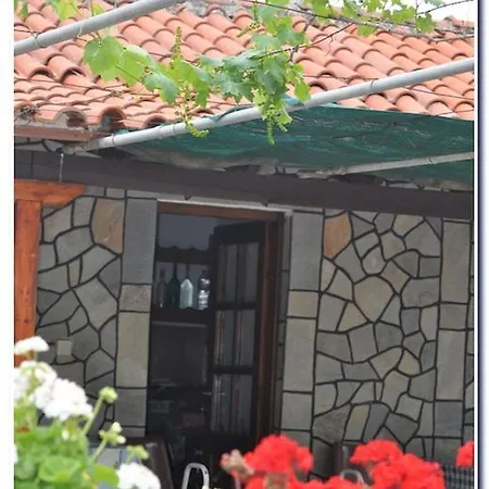 Myloi Sykia Chalkidikis